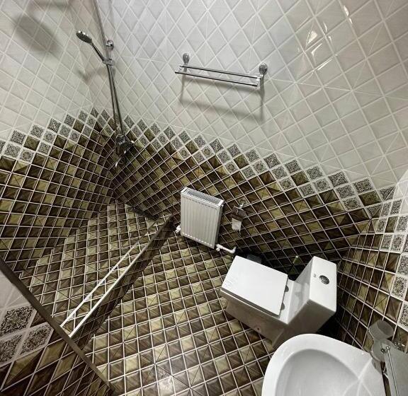 غرفة قياسية, Farnoz