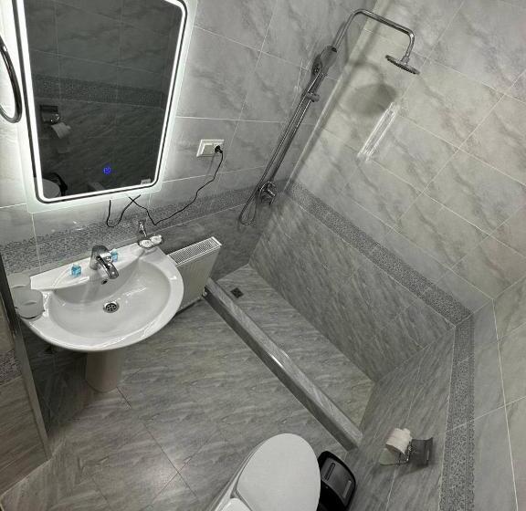 غرفة قياسية, Farnoz