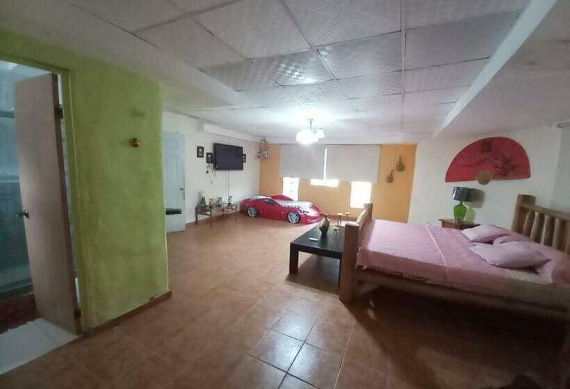 带大床的复式套间, Sunrise Hostel Farallon