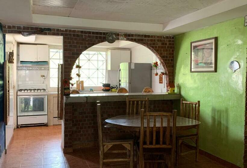 جناح ديلوكس سرير كينج, Sunrise Hostel Farallon