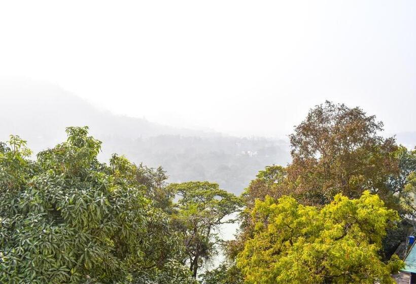 Номер Стандарт Вид на Горы, Soul Haven On Main