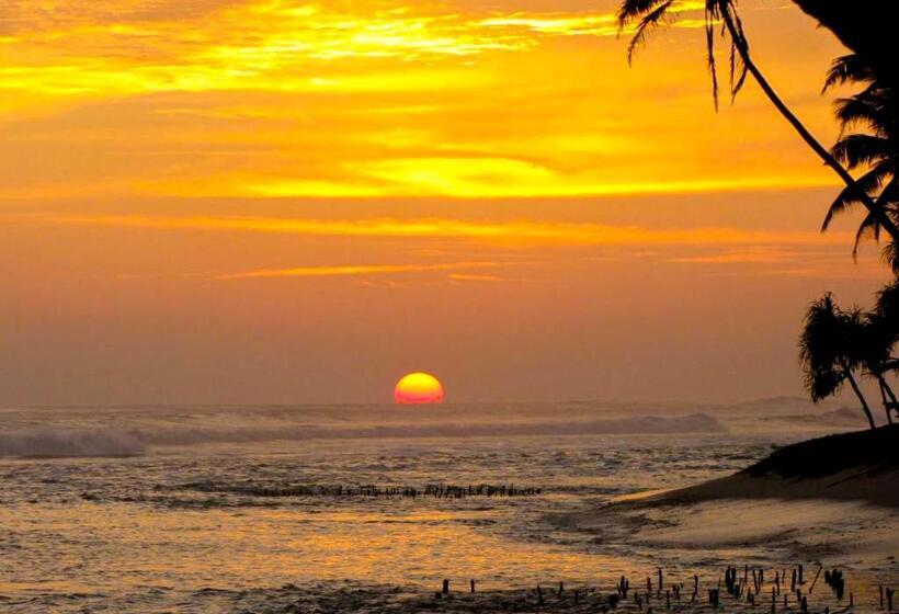 豪华房间, Blue Waves Madiha