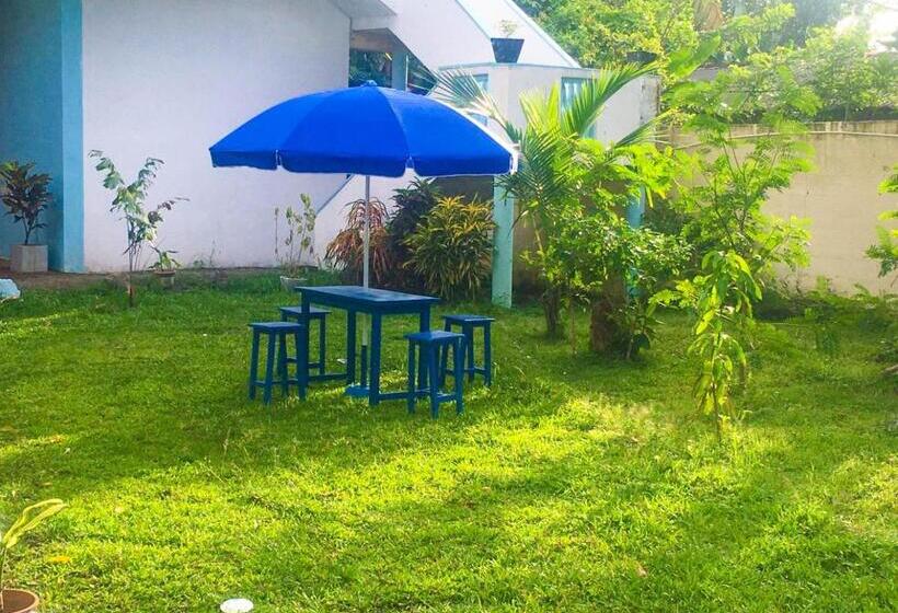 标准三人间, Blue Waves Madiha