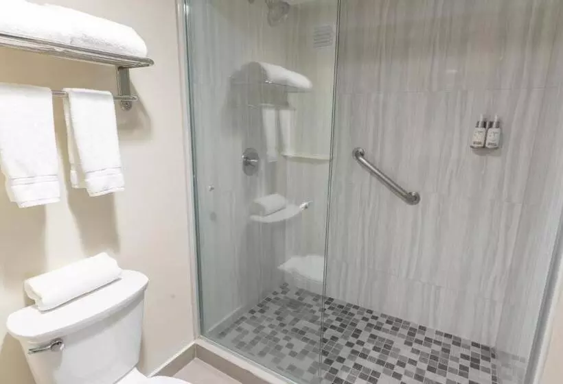 اتاق استاندارد, Holiday Inn Express Guadalajara Aeropuerto, An Ihg