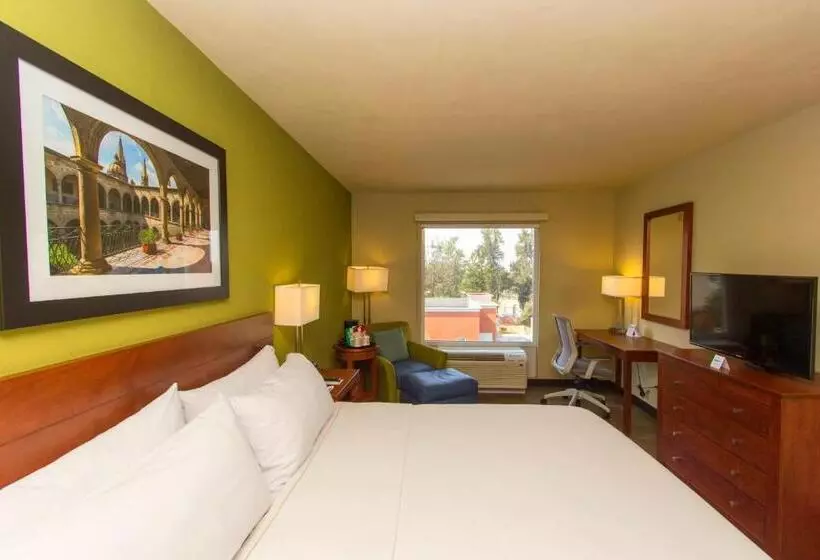 اتاق استاندارد با تخت بزرگ, Holiday Inn Express Guadalajara Aeropuerto, An Ihg