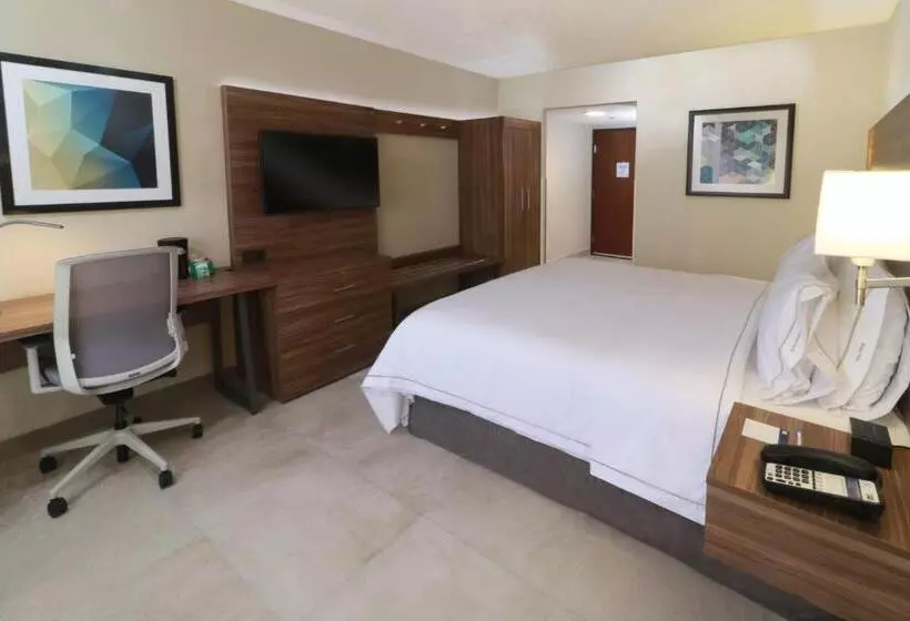 اتاق استاندارد با تخت بزرگ, Holiday Inn Express Guadalajara Aeropuerto, An Ihg