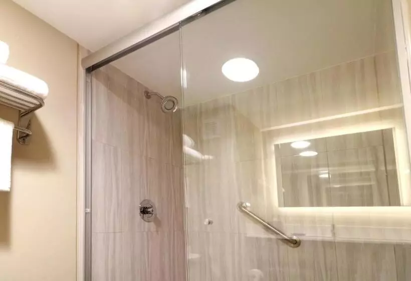اتاق استاندارد با تخت بزرگ, Holiday Inn Express Guadalajara Aeropuerto, An Ihg