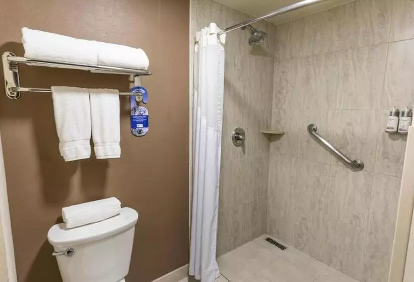 اتاق استاندارد با تخت بزرگ برای معلولان, Holiday Inn Express Guadalajara Aeropuerto, An Ihg