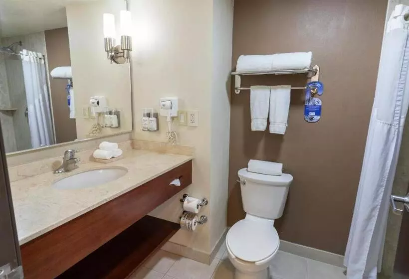اتاق استاندارد با تخت بزرگ برای معلولان, Holiday Inn Express Guadalajara Aeropuerto, An Ihg