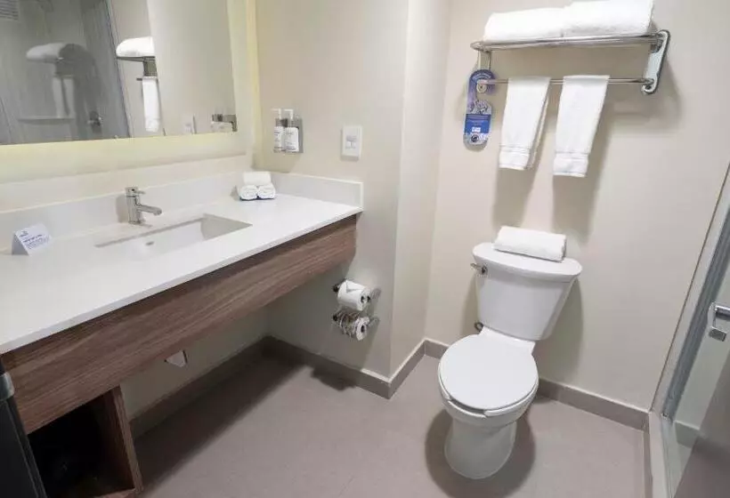 اتاق استاندارد, Holiday Inn Express Guadalajara Aeropuerto, An Ihg