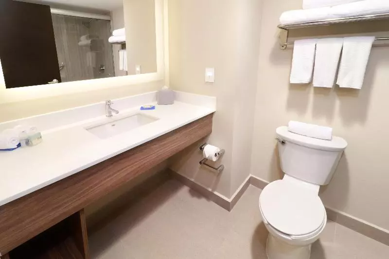 اتاق استاندارد با تخت بزرگ, Holiday Inn Express Guadalajara Aeropuerto, An Ihg