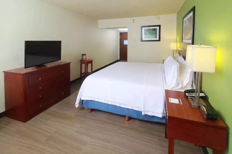 اتاق استاندارد با تخت بزرگ, Holiday Inn Express Guadalajara Aeropuerto, An Ihg