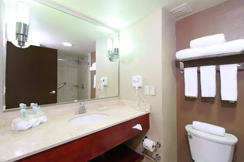 اتاق استاندارد با تخت بزرگ, Holiday Inn Express Guadalajara Aeropuerto, An Ihg