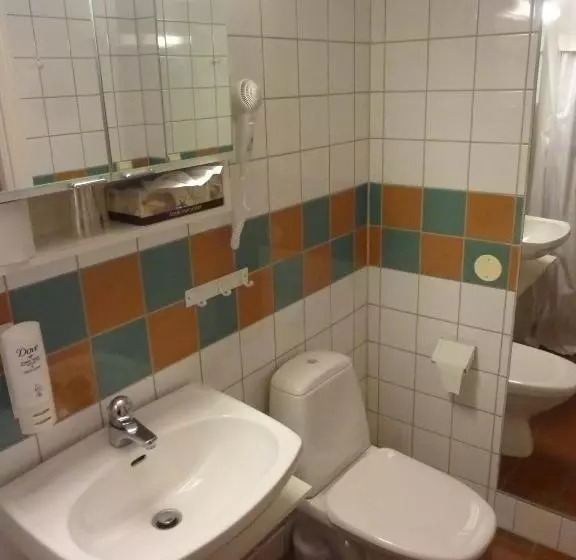 Standard Kolmen Hengen Huone, Nya Pallas