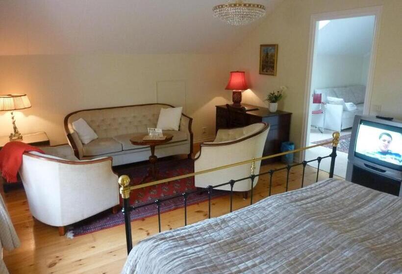 غرفة قياسية رباعية, Nya Pallas