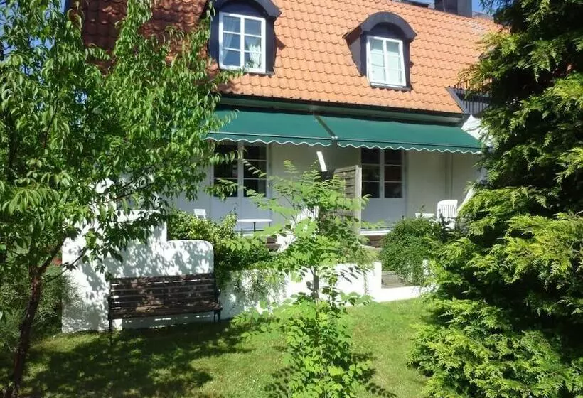 Standard-huone Terassi, Nya Pallas