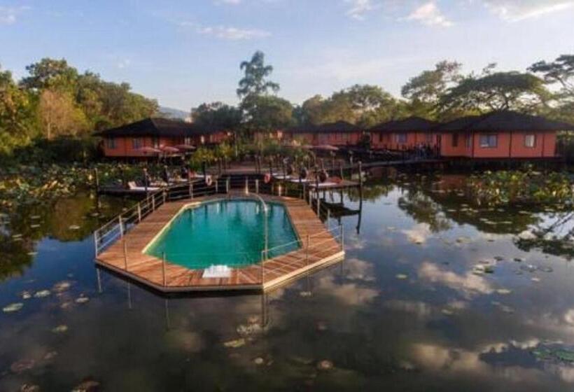 سوئیت با بالکن, Viewpoint Ecolodge