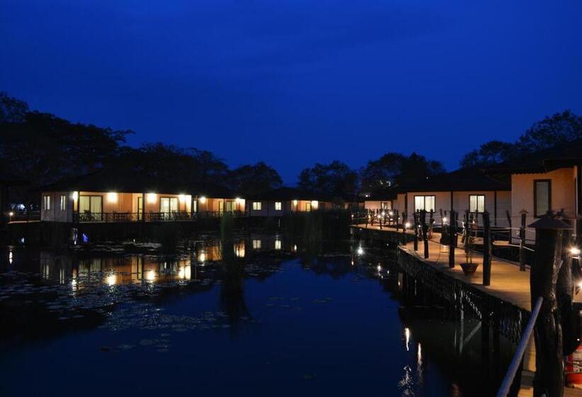 سوییت خانوادگی, Viewpoint Ecolodge