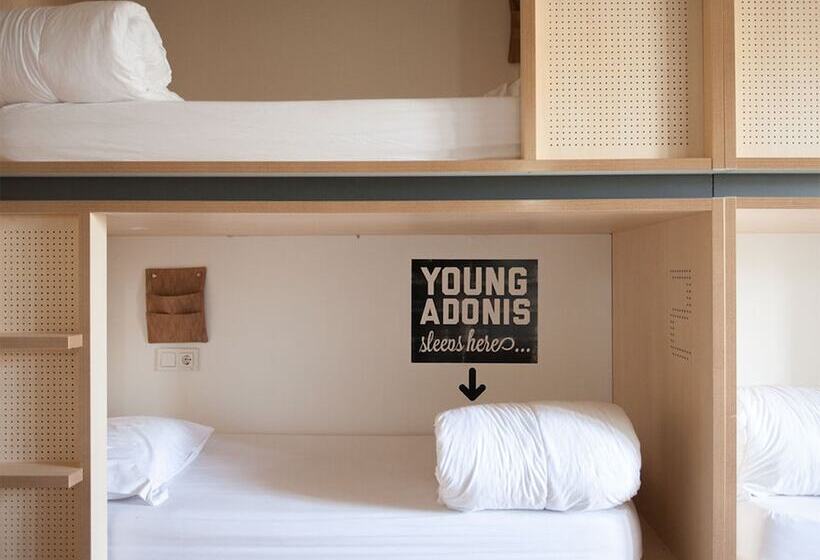 تختخواب در اتاق مشترک, Toc Hostel Madrid