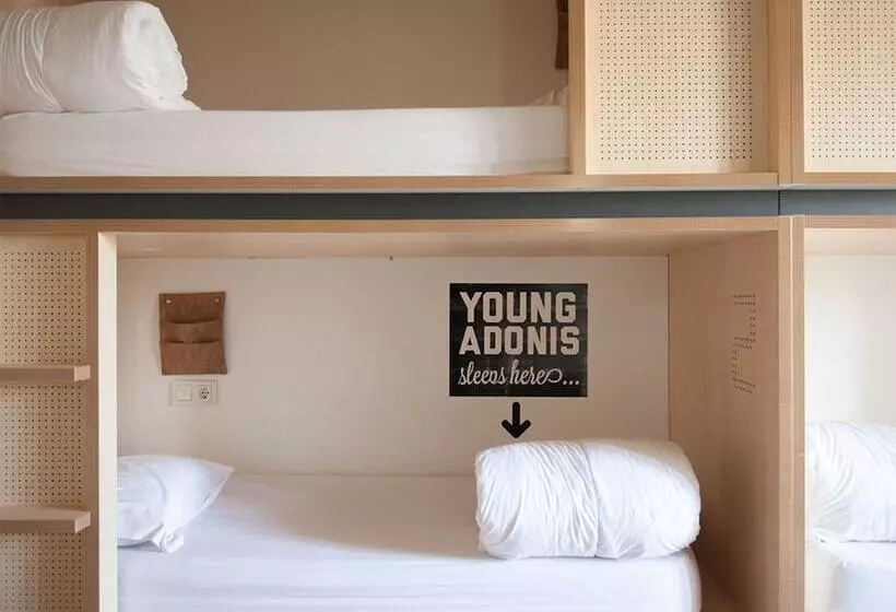 تختخواب در اتاق مشترک, Toc Hostel Madrid