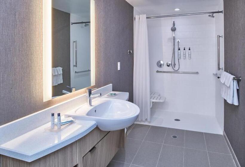 Студия Стандарт Кровать Куин, Springhill Suites By Marriott Detroit Dearborn