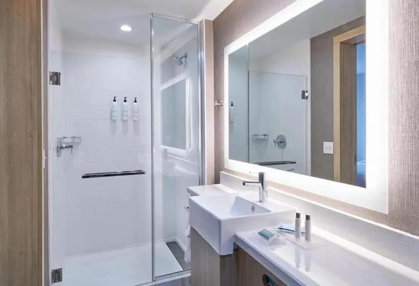 クイーンベッドのスタンダードスタジオ, Springhill Suites By Marriott Detroit Dearborn