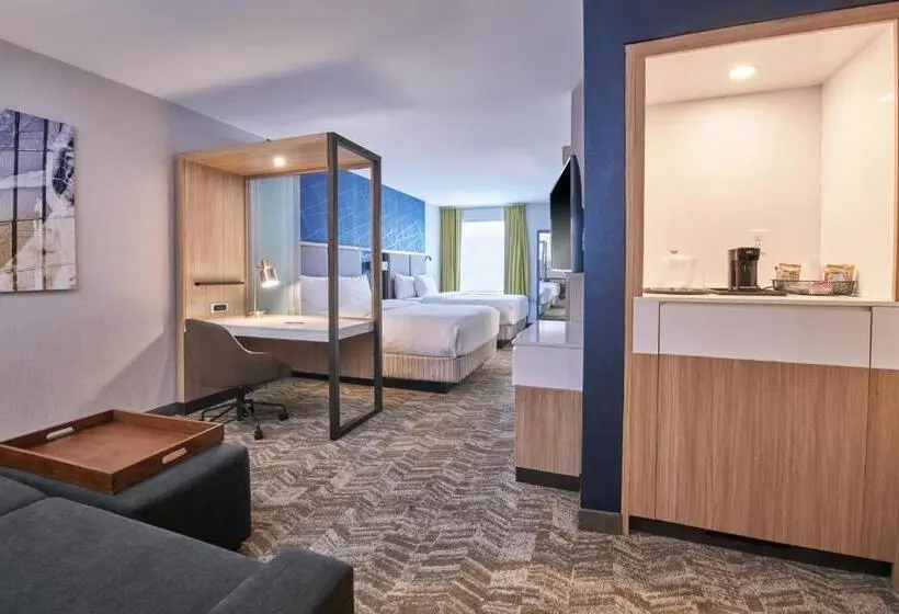 クイーンベッドのスタンダードスタジオ, Springhill Suites By Marriott Detroit Dearborn