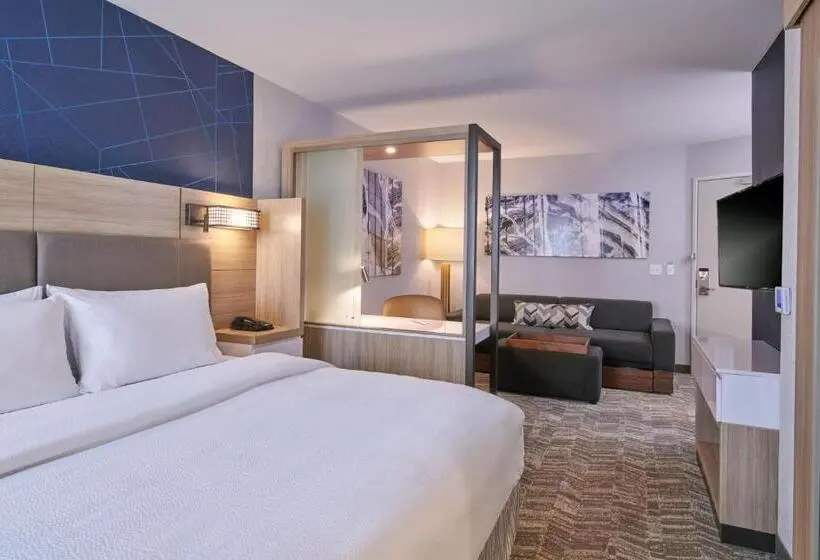 キングサイドベッドのスタンダードワンルーム, Springhill Suites By Marriott Detroit Dearborn