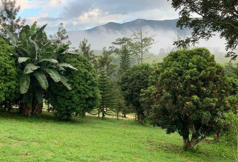 带大床的标准间, Campson Heaven Resort