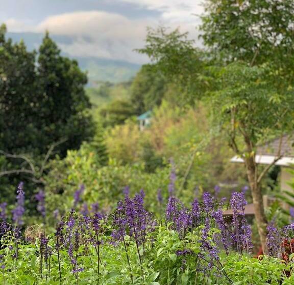 带大床的标准间, Campson Heaven Resort