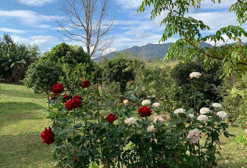 标准三人间, Campson Heaven Resort