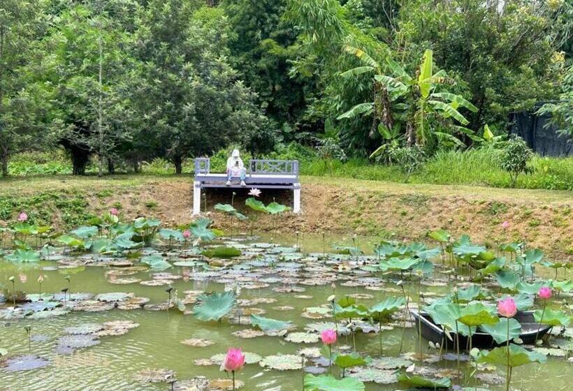 كابينة, Campson Heaven Resort