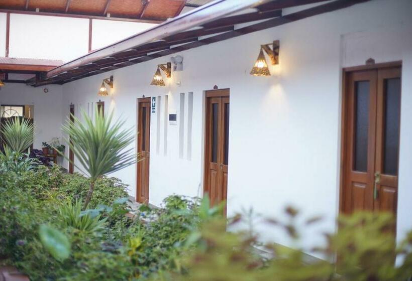 اتاق استاندارد, Muyuterra