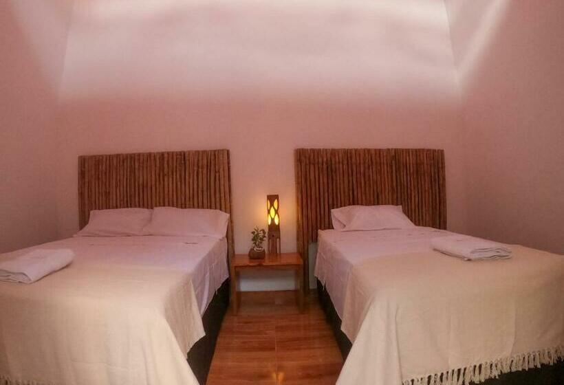 اتاق لوکس, Muyuterra