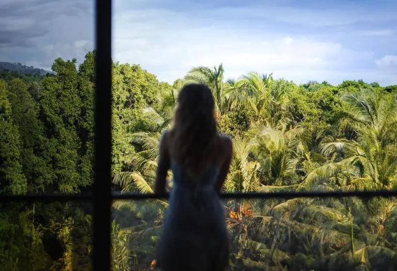 سوییت خانوادگی, Ataraxis Grand And Spa Fuvahmulah