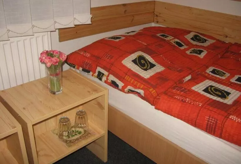 اتاق استاندارد یک نفره, Bed & Breakfast Penzion Brno