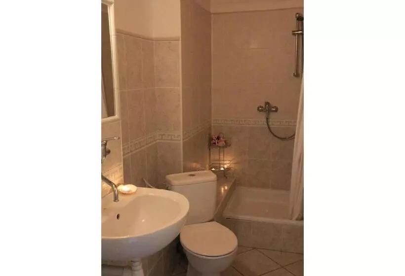 اتاق استاندارد سه نفره, Bed & Breakfast Penzion Brno