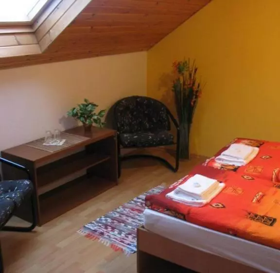اتاق استاندارد با سرویس بهداشتی مشترک, Bed & Breakfast Penzion Brno