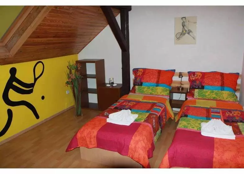 اتاق استاندارد سه تخته با سرویس بهداشتی مشترک, Bed & Breakfast Penzion Brno