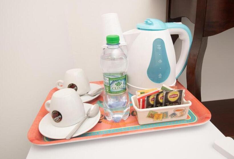 标准房带园景, Maison Twentyfive