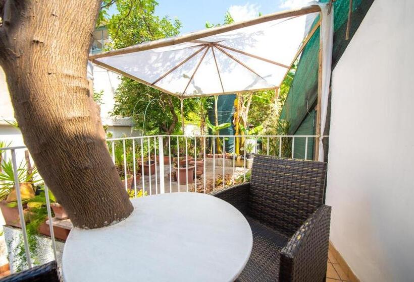 高级园景房, Maison Twentyfive