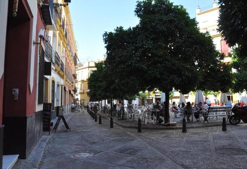 スタンダードルーム, Ateneo Sevilla
