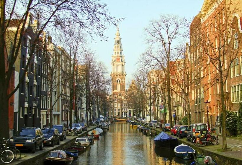 اتاق عادی یک تخته, Fine Harmony