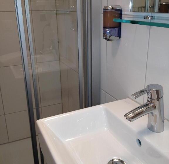 Номер Стандарт Индивидуальный, Freihof Swiss Lodge