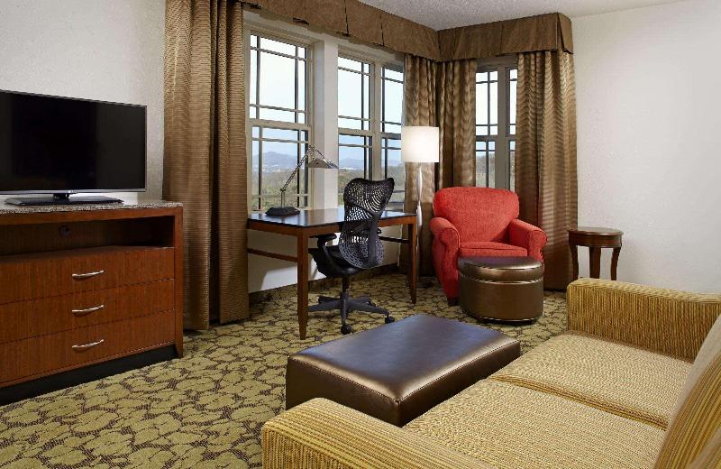 جناح سرير كينج, Hilton Garden Inn Roanoke
