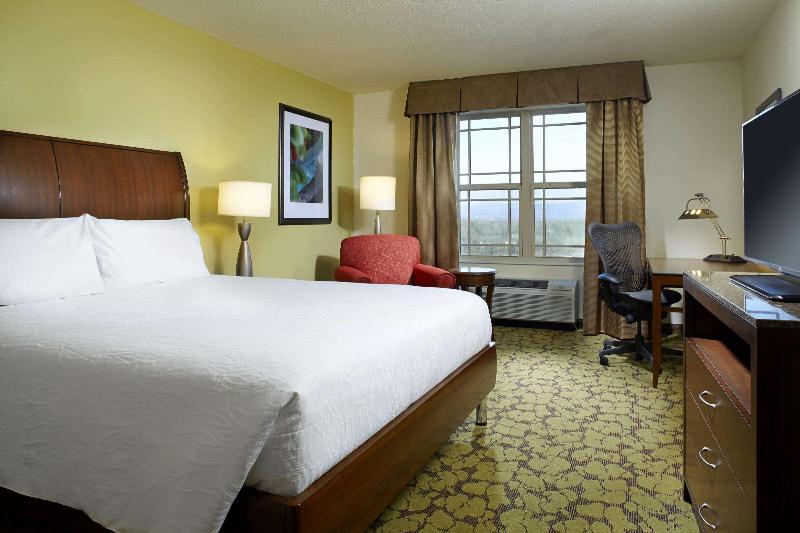 غرفة ديلوكس سرير كينج, Hilton Garden Inn Roanoke