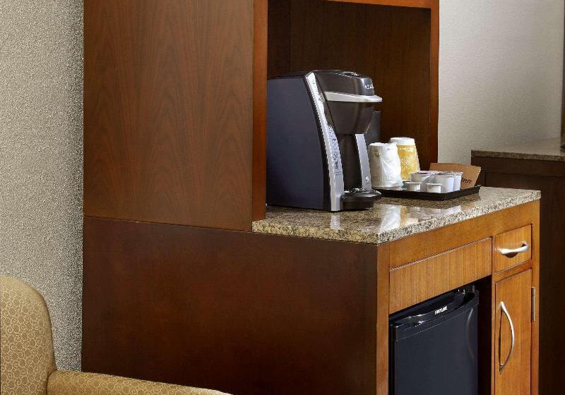 غرفة بريميوم, Hilton Garden Inn Roanoke