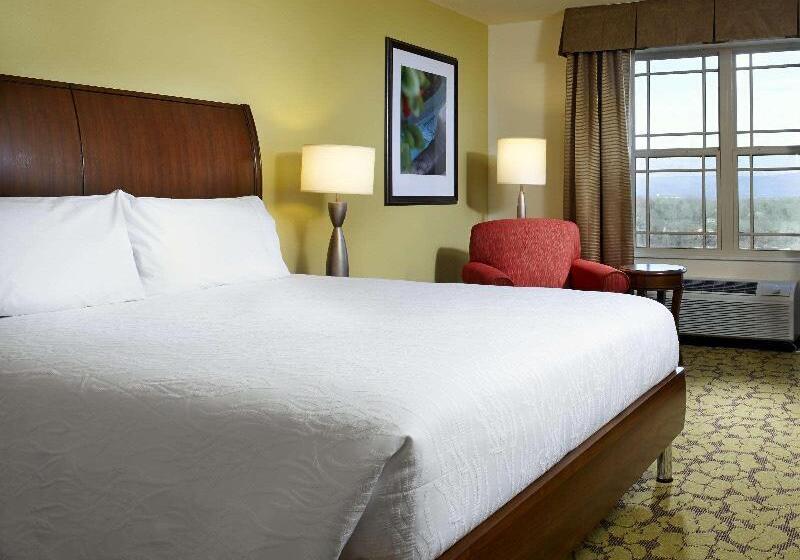 غرفة قياسية سرير كينج, Hilton Garden Inn Roanoke