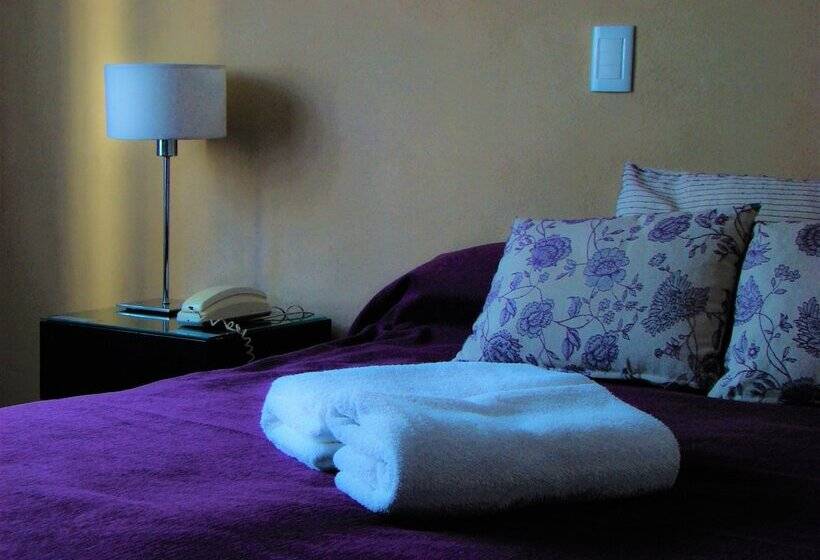 اتاق استاندارد, Petit Recoleta Suites