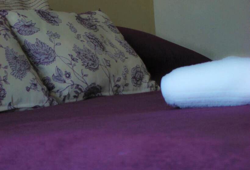 اتاق استاندارد, Petit Recoleta Suites